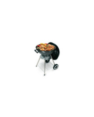 Asador De Carbon Barbecue Home Elements