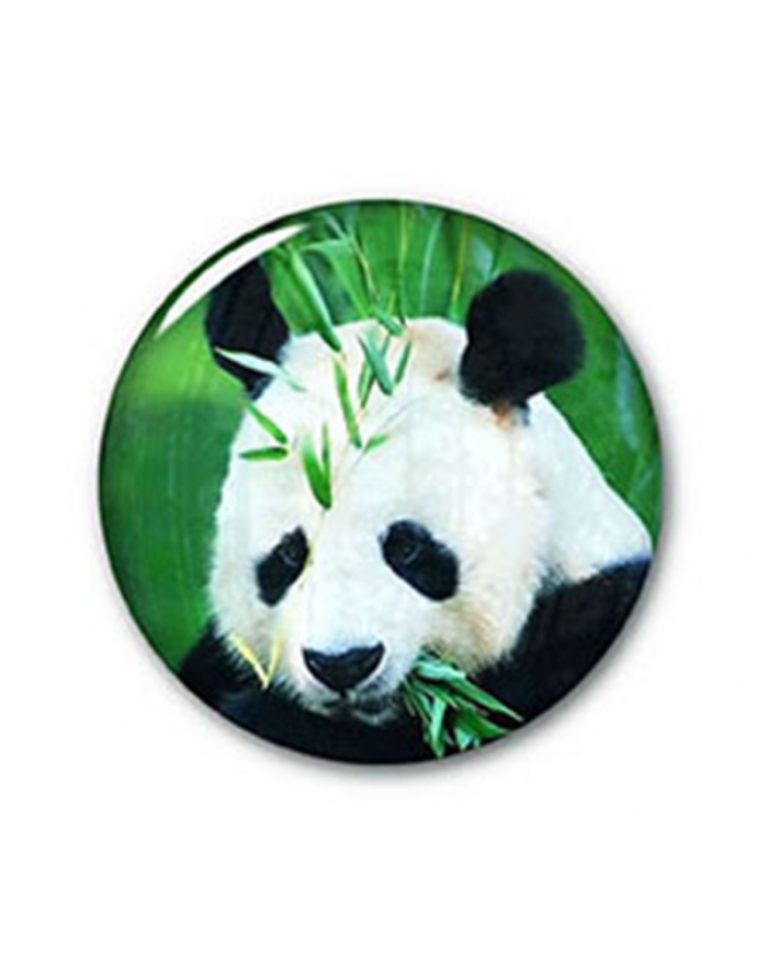 Botón Redondo 6.5 cms